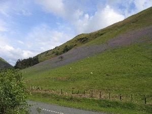 Buckley Arms Otel Dinas Mawddwy Dış mekan fotoğraf